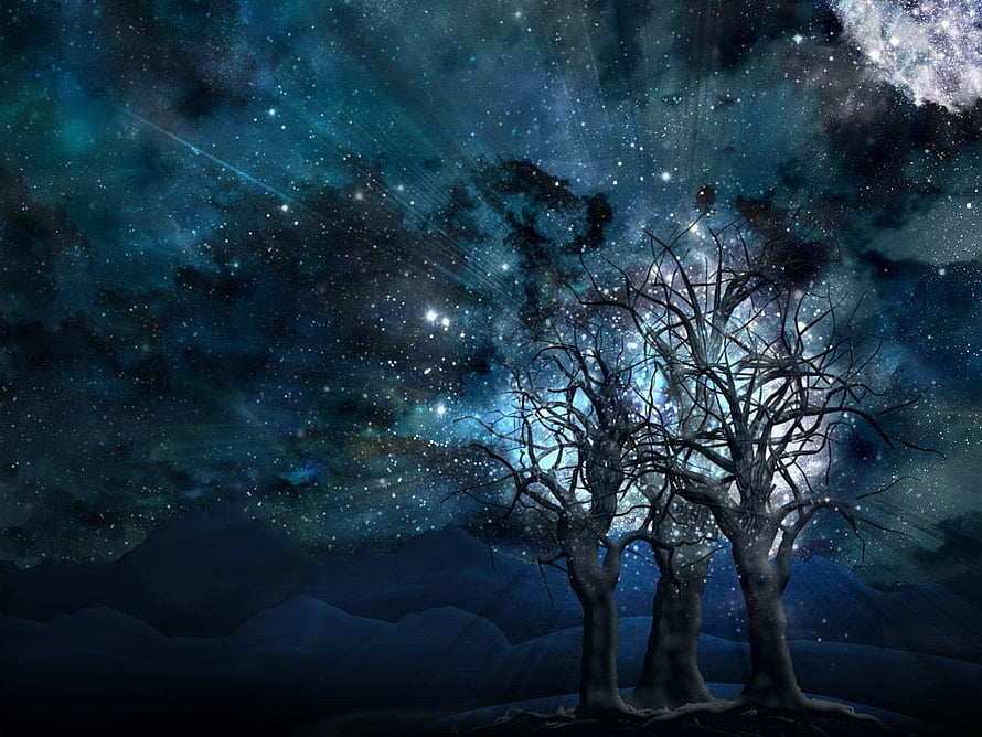 Bare Trees Silhouetted Against a Vibrant Starry Night Sky and Nebula HD wallpaper