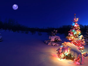 Snow-covered Christmas tree with colorful lights under a full moon in a winter night landscape HD wallpaper