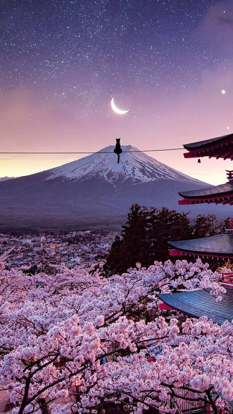 Sakura Blossoms and Mount Fuji at Twilight with a Silhouetted Cat on a Wire HD phone wallpaper