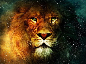 Majestic Masai Lion Portrait with Dramatic Lighting and Starry Background HD wallpaper