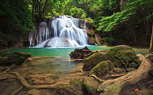 Serene Tropical Waterfall Cascading Into A Turquoise Pool Surrounded By Lush Green Forest HD wallpaper
