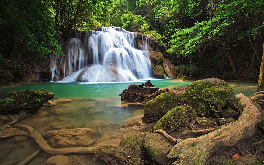 Serene Tropical Waterfall Cascading Into A Turquoise Pool Surrounded By Lush Green Forest HD wallpaper
