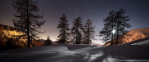 Snowy Mountain Landscape Under a Starry Night Sky with Silhouetted Pine Trees HD wallpaper