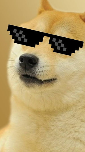 Cheeky Shiba Inu Wearing Pixelated Sunglasses in a Close-Up Portrait HD phone wallpaper
