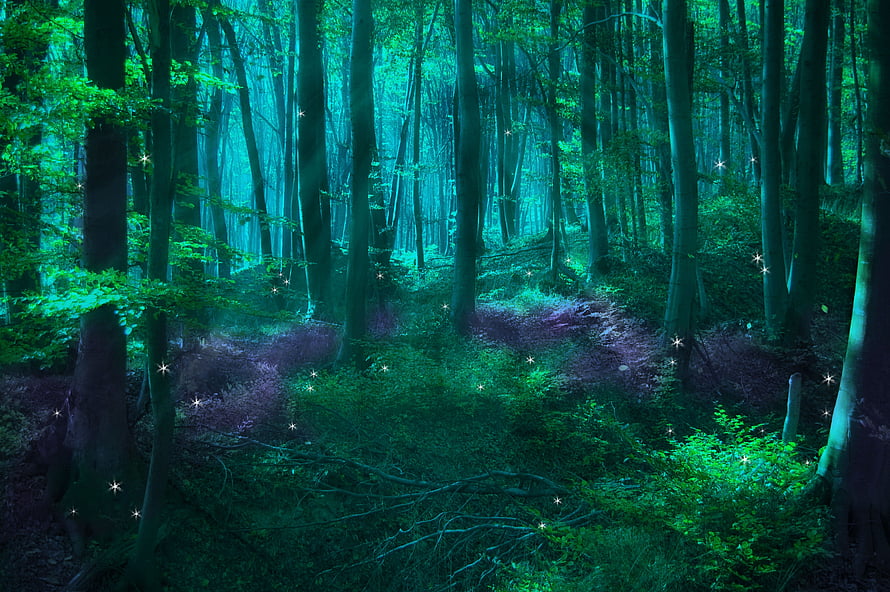 Mystical Enchanted Forest with Glowing Fireflies and Lush Green Canopy HD wallpaper