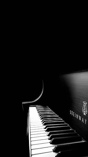 Dramatic Black and White Steinway Grand Piano Keyboard in Low Light HD phone wallpaper