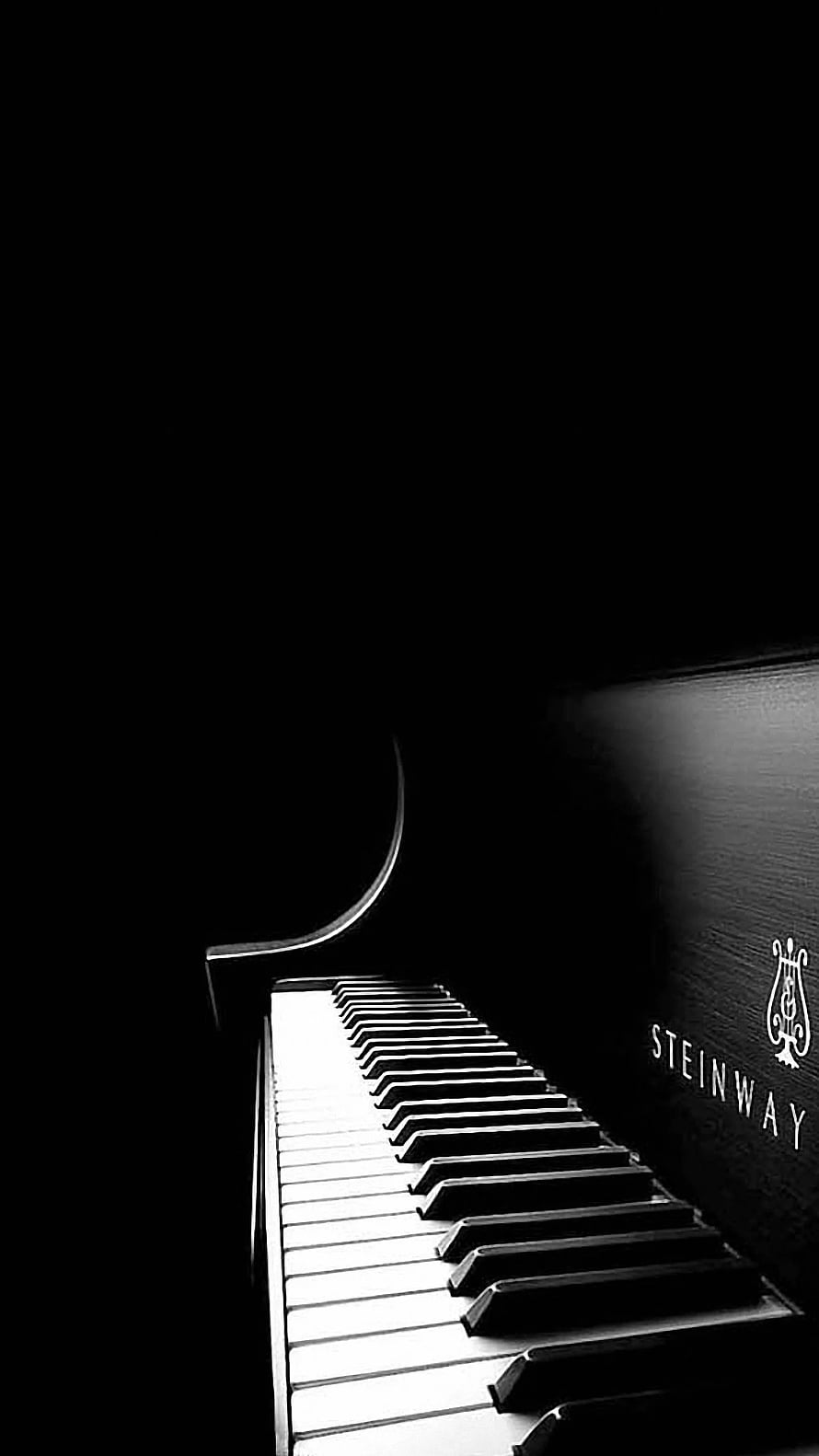 Dramatic Black and White Steinway Grand Piano Keyboard in Low Light HD phone wallpaper