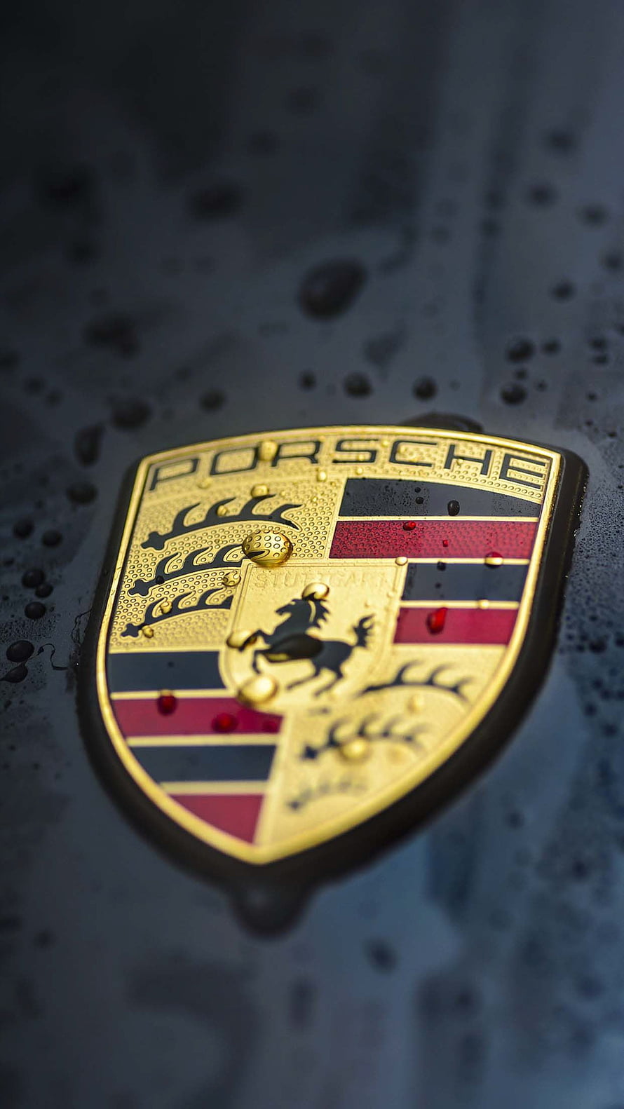 Porsche Emblem Close-Up on Wet Dark Car Surface with Water Droplets HD phone wallpaper