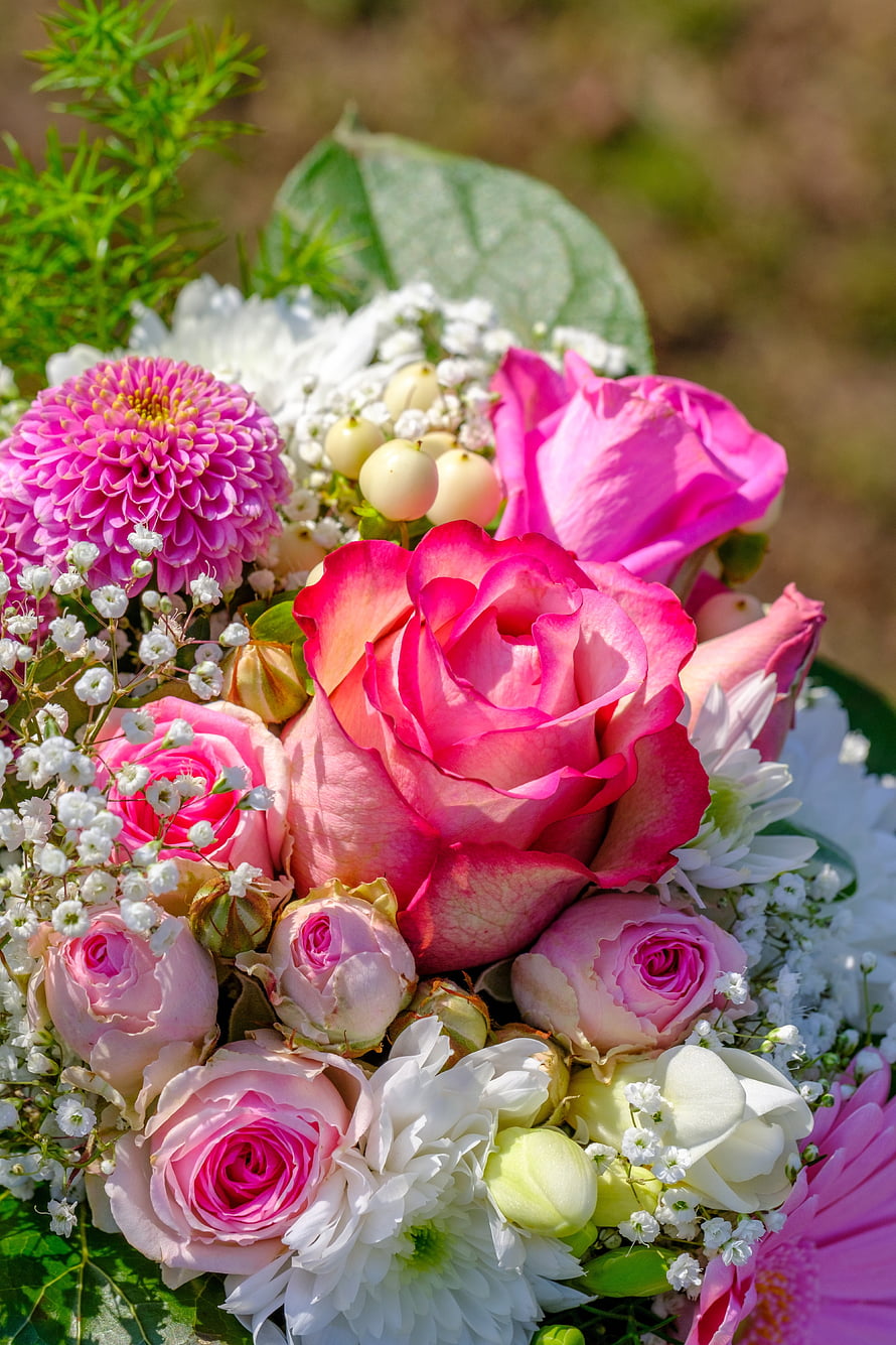 Vibrant Pink Rose and Chrysanthemum Bouquet with Baby's Breath and White Daisies HD phone wallpaper