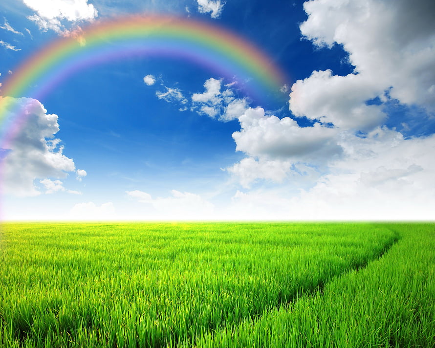 Vibrant Rainbow Arching Over Lush Green Meadow Under Bright Blue Sky HD wallpaper