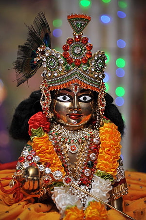 Laddu Gopal ornate golden idol with jeweled crown, peacock feather, and marigold garlands HD phone wallpaper