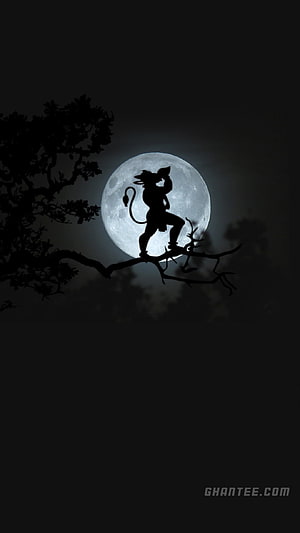 Hanuman Silhouette Perched on Branch Against Full Moon in Black and White, hanuman black and white – Ghantee HD phone wallpaper