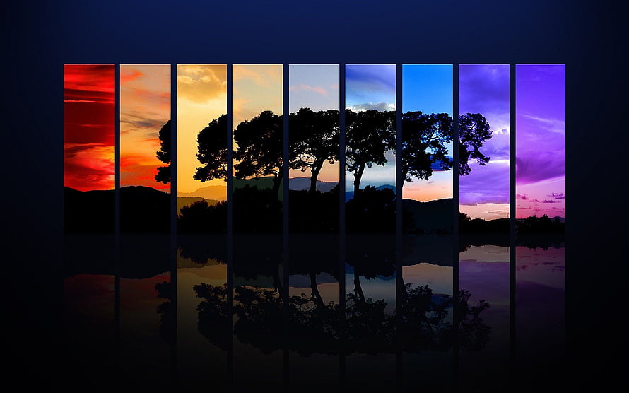 Spectrum Sunset Silhouette Tree Reflection in Calm Water HD wallpaper