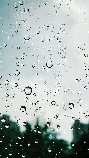 Raindrops on a glass window with a blurred green tree silhouette in the background HD phone wallpaper