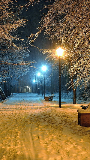 Snowy Park Path at Night with Glowing Street Lamps and Frosted Trees HD phone wallpaper