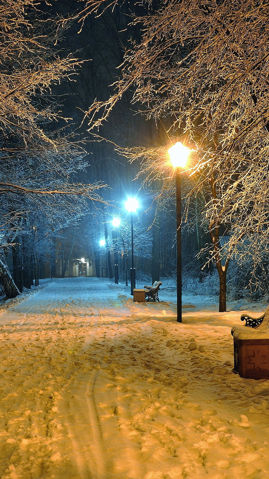 Snowy Park Path at Night with Glowing Street Lamps and Frosted Trees HD phone wallpaper