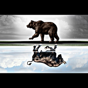 Bull and Bear Reflection Concept Illustrating Market Trading Psychology HD phone wallpaper
