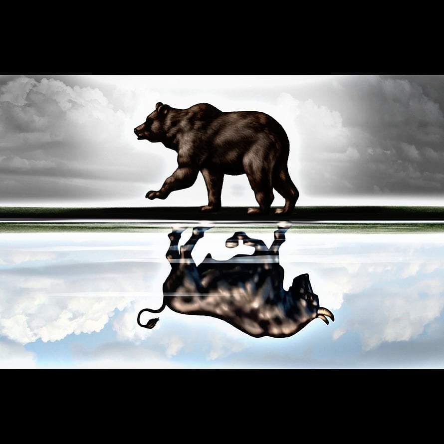 Bull and Bear Reflection Concept Illustrating Market Trading Psychology HD phone wallpaper