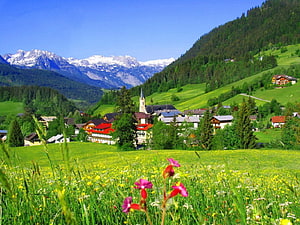 Alpine village nestled in a lush green valley with snow-capped mountains and wildflowers in the foreground HD wallpaper