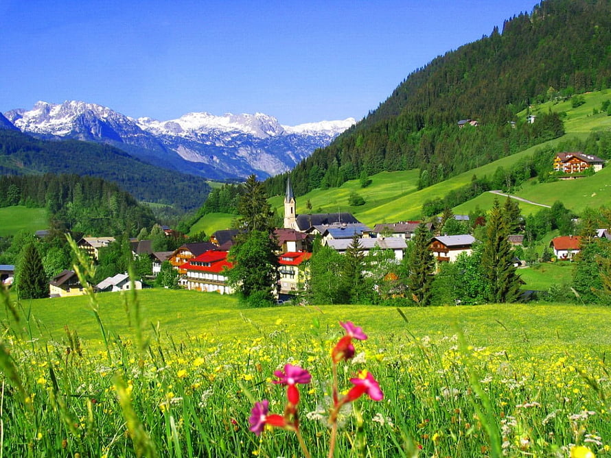 Alpine village nestled in a lush green valley with snow-capped mountains and wildflowers in the foreground HD wallpaper