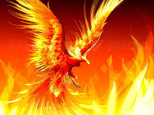Majestic Fire Eagle Soaring Through Blazing Flames and Intense Orange Light HD wallpaper