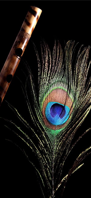Krishna Bansuri and Peacock Feather on Black Background HD phone wallpaper