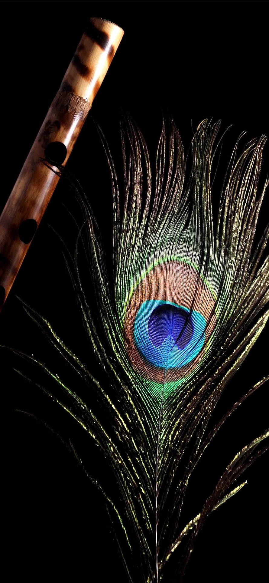 Krishna Bansuri and Peacock Feather on Black Background HD phone wallpaper