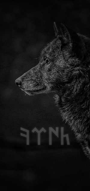 Monochrome Wolf Profile Portrait with Turkic Script Lettering on Dark Background HD phone wallpaper