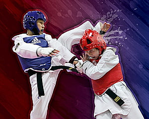 Taekwondo Sparring Match: Blue and Red Athletes in Dynamic Combat HD wallpaper