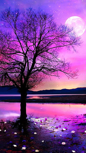 Dreamy Purple Night Sky with Bare Tree Silhouette, Full Moon, and Lotus Pond Reflection HD phone wallpaper