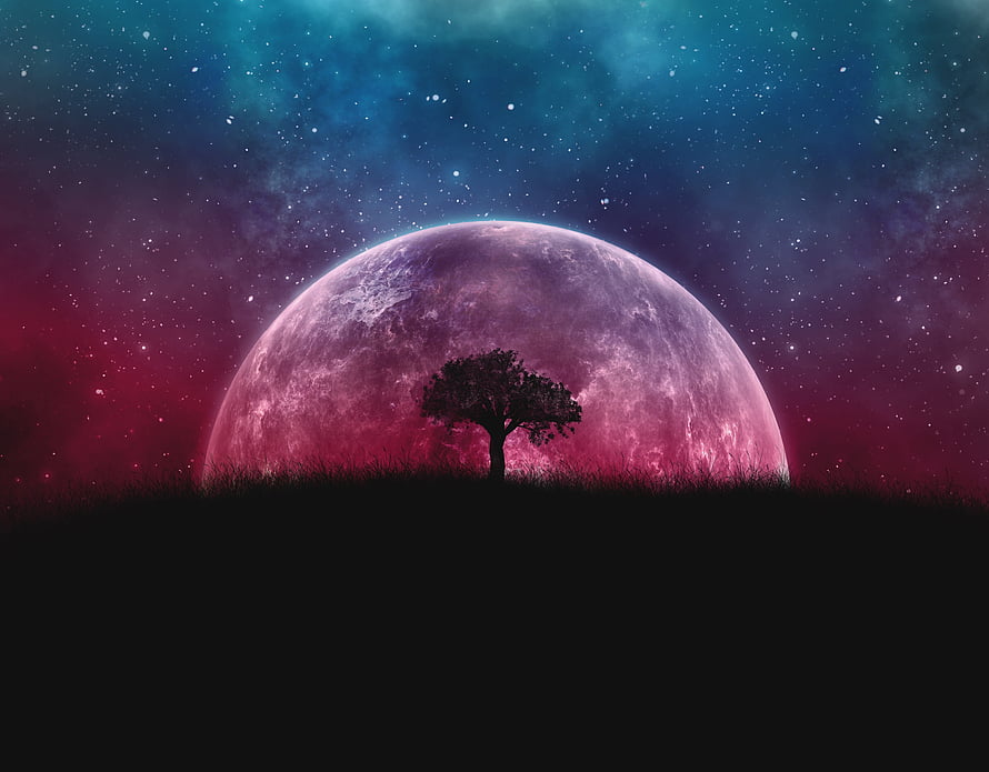 Lone Tree Silhouette Before a Massive Pink Planet in a Starry Nebula Sky HD wallpaper
