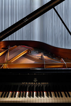 Steinway & Sons Grand Piano Interior Detail with Golden Strings and Black Keys HD phone wallpaper