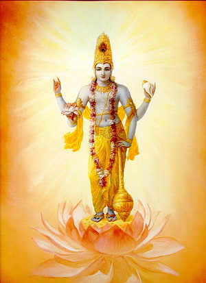 Lord Vishnu Standing on Lotus with Radiant Golden Aura and Traditional Attire HD phone wallpaper