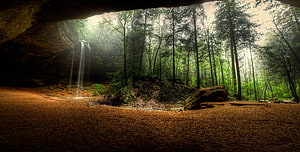 Misty Forest View From Cave Opening With Waterfall HD wallpaper