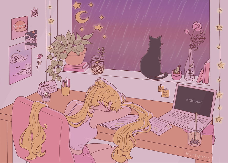 Sailor Moon Lofi Girl Studying at Desk with Black Cat and Rainy Night Window HD wallpaper