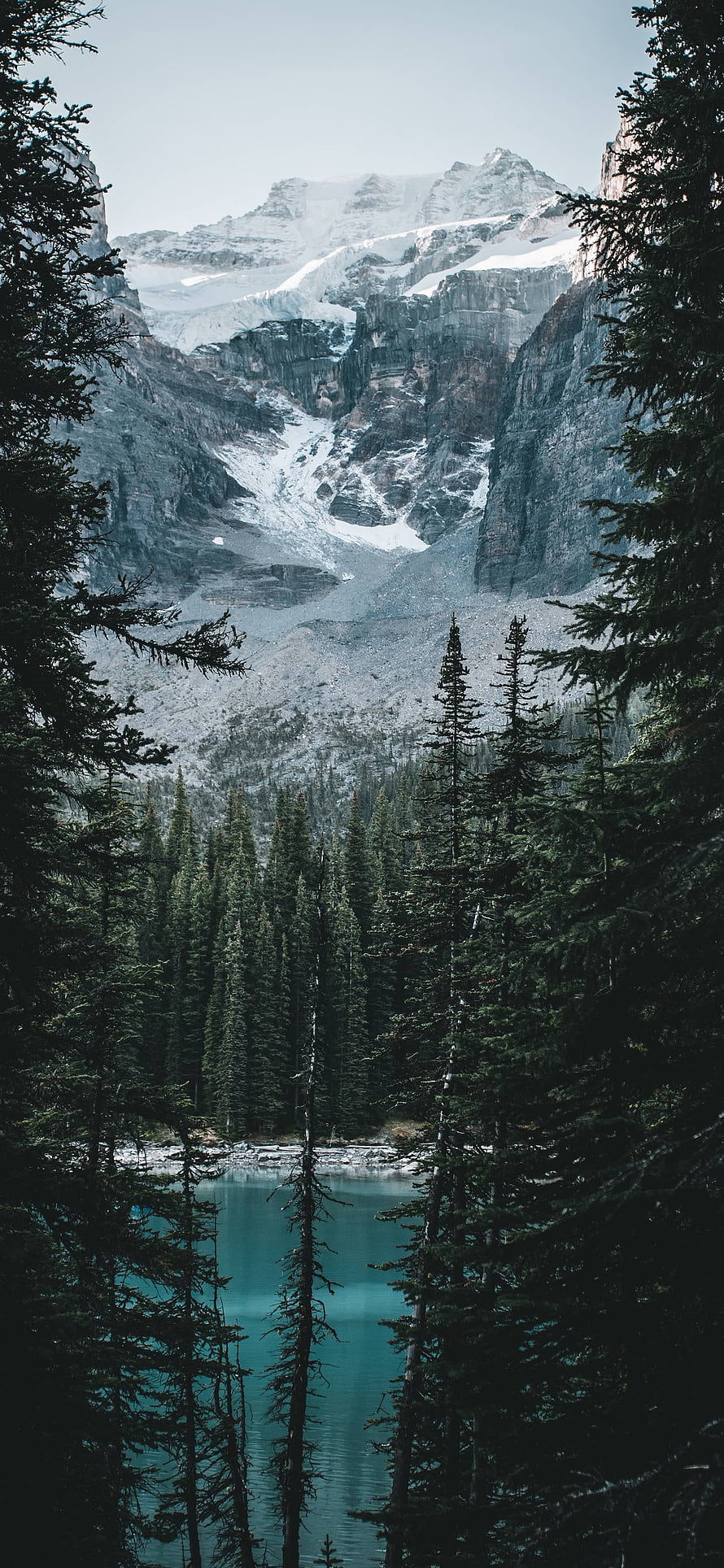 Alpine Lake View Through Evergreen Forest With Snow-Capped Mountain Peaks HD phone wallpaper