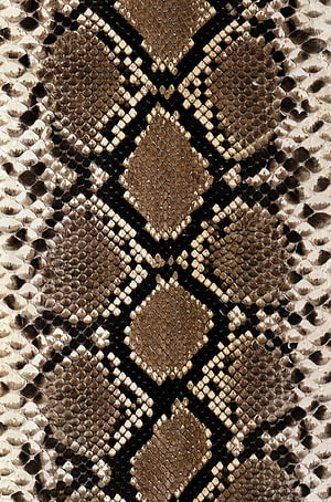 Close-up of python snake skin texture with intricate diamond scale pattern in earthy brown and cream tones HD phone wallpaper