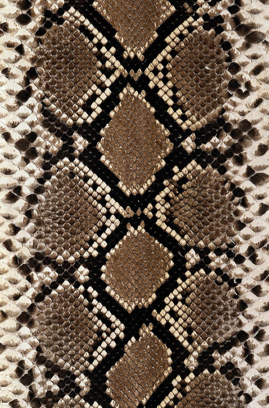 Close-up of python snake skin texture with intricate diamond scale pattern in earthy brown and cream tones HD phone wallpaper
