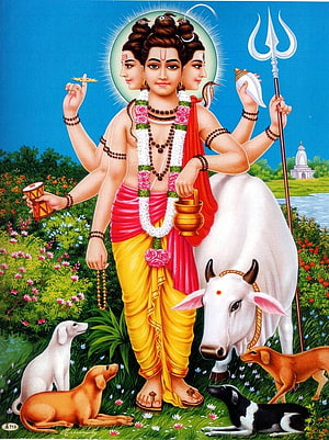 Guru Dattatreya Hindu Deity with White Bull and Dogs in Vibrant Garden Setting HD phone wallpaper
