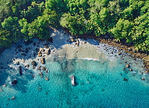 Aerial View of Tropical Beach with Turquoise Water and Lush Jungle HD wallpaper