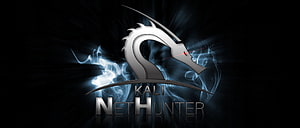 Kali NetHunter Dragon Logo with Blue Smoke on Dark Background HD wallpaper