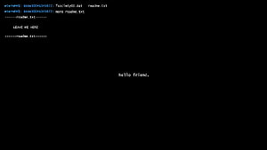 Mr. Robot Terminal Interface with Hello Friend Greeting on Black Background HD wallpaper