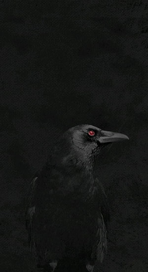Dark Crow with Glowing Red Eye on Black Background HD phone wallpaper