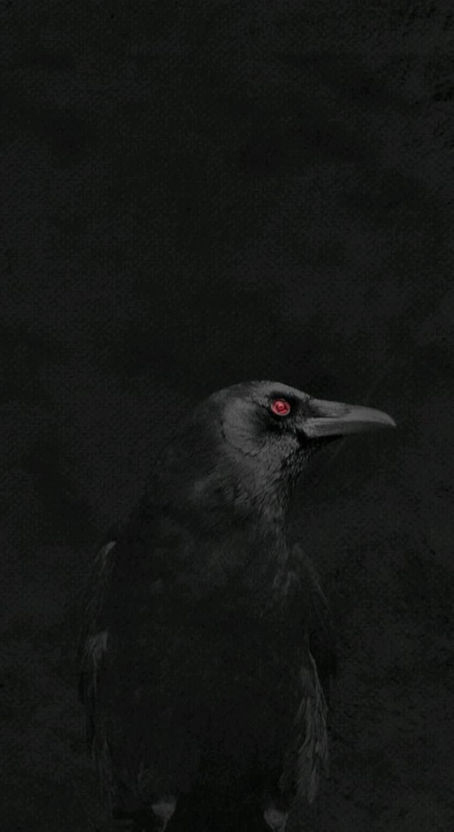 Dark Crow with Glowing Red Eye on Black Background HD phone wallpaper