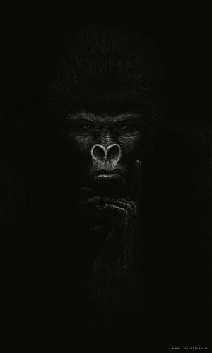 Dark and moody gorilla portrait with hand on chin in dramatic low-key lighting HD phone wallpaper