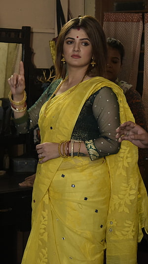 Srabanti Chatterjee in a Vibrant Yellow Saree with Traditional Gold Jewelry HD phone wallpaper
