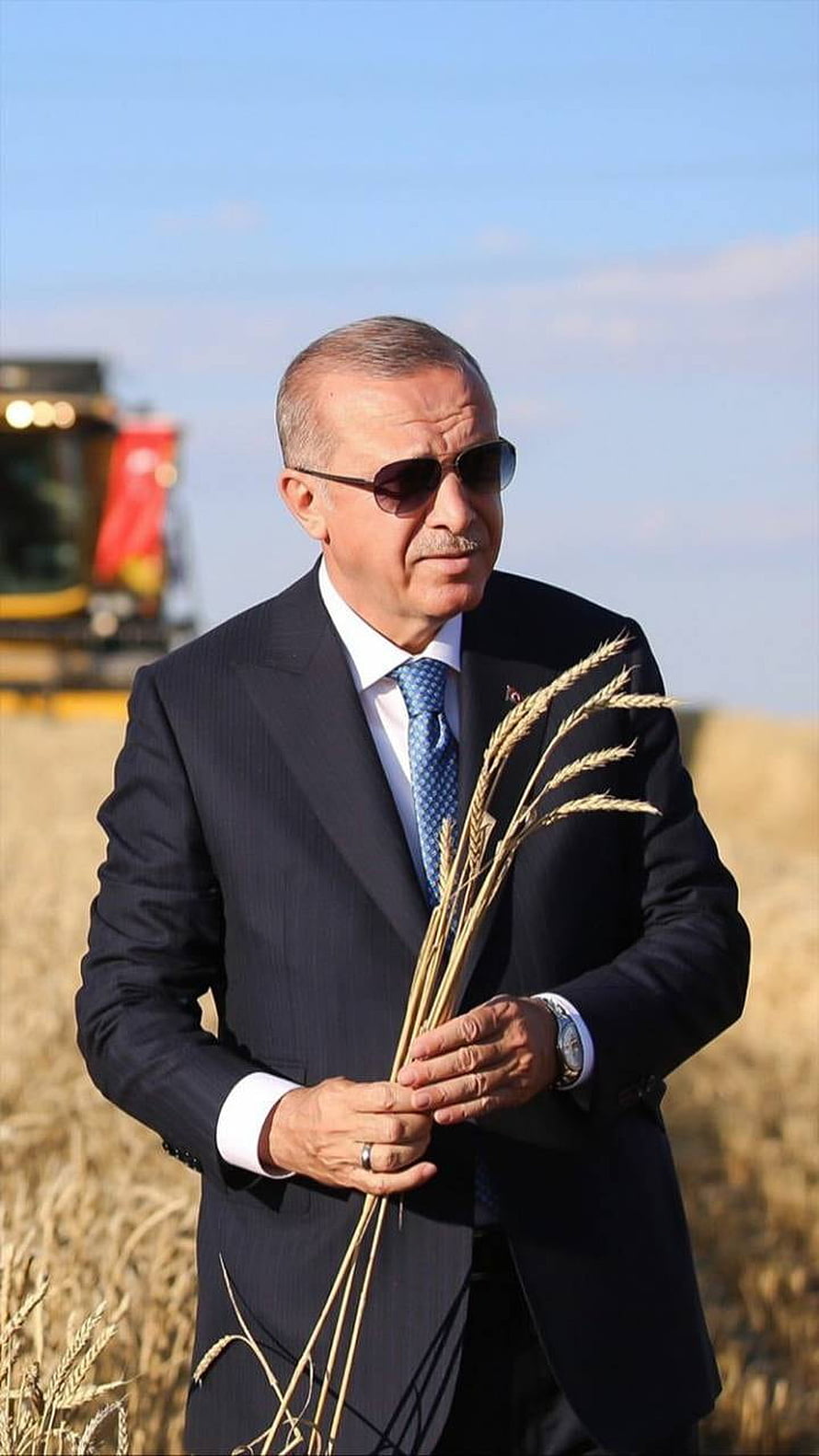 Recep Tayyip Erdogan in a dark suit holding wheat stalks in a golden field with a combine harvester in the background HD phone wallpaper