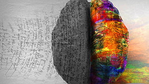 Split Brain Concept Art: Mathematical Logic Meets Vibrant Creative Chaos HD wallpaper