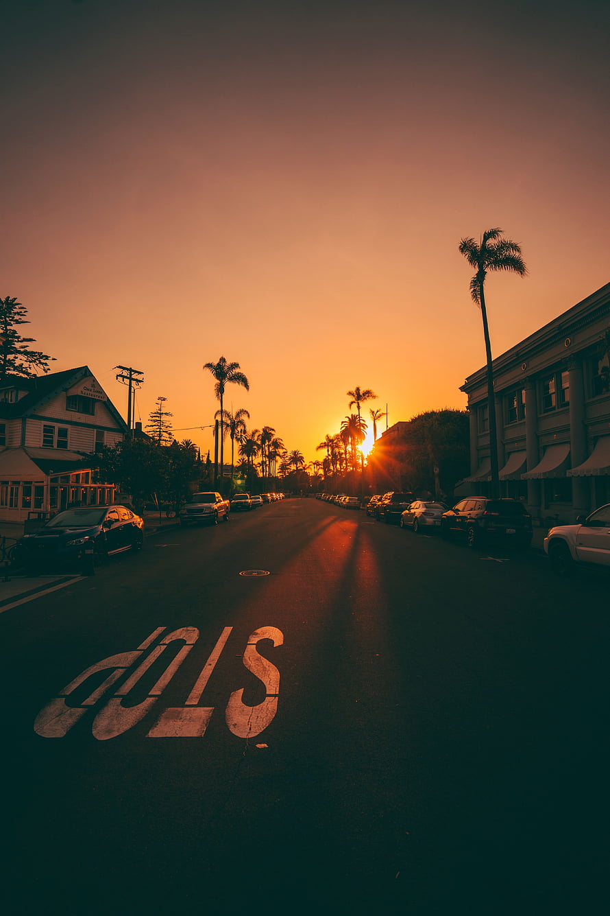 Golden Hour Street Scene With Palm Trees And Parked Cars HD phone wallpaper