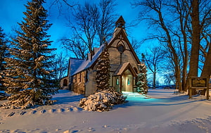 Snow-Covered Gothic Church at Blue Hour with Evergreens and Bare Trees HD wallpaper